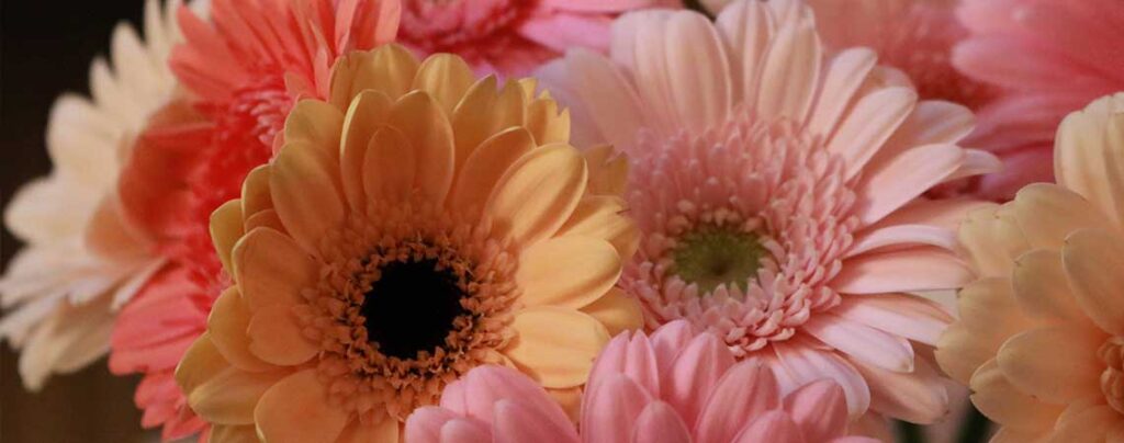 Verschiedene Blumen in gelb und rosa Farben